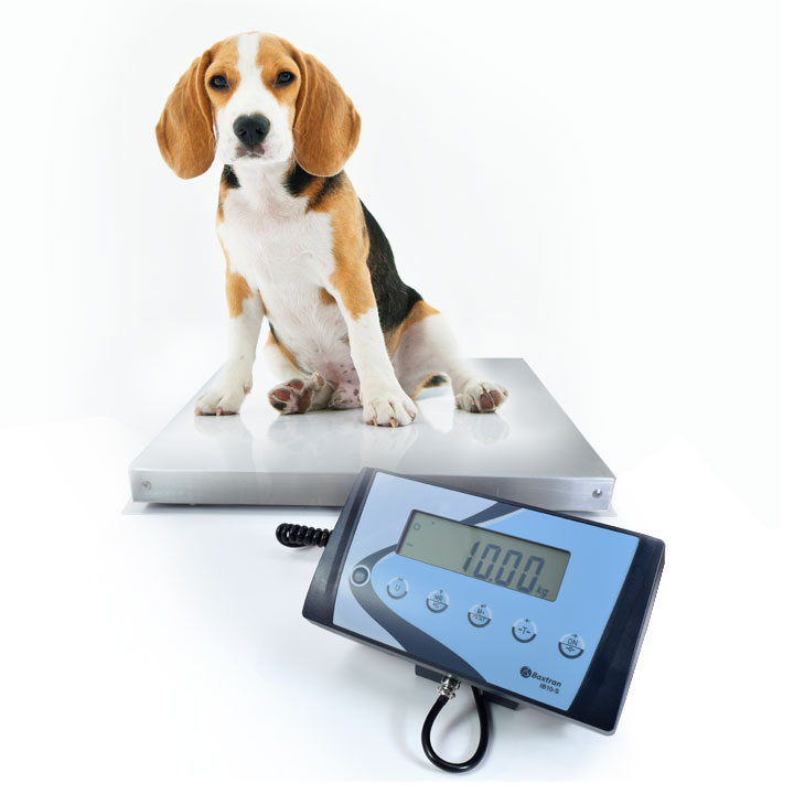 Vægt til dyr - Pakkevægt Baxtran 35 kg AIS